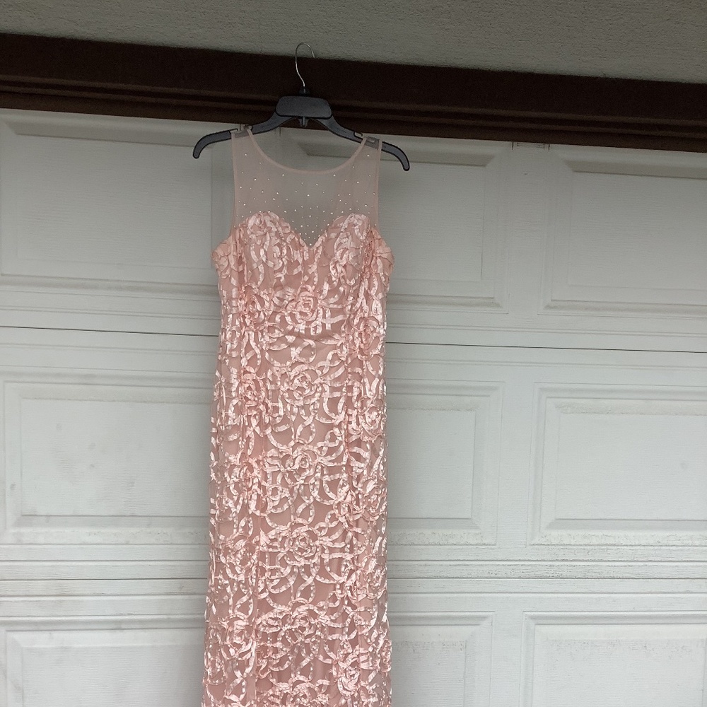 Elegant blush ribbon design gown.